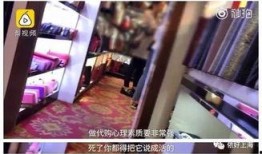 网红爆料爆胎图片高清视频,高清视频揭示惊险一幕