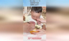 吃瓜一家人小说免费阅读,揭秘豪门背后的甜蜜生活